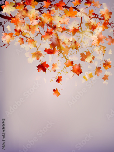 Beautiful autumn background. EPS 10