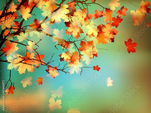 Happy Thanksgiving card. EPS 10