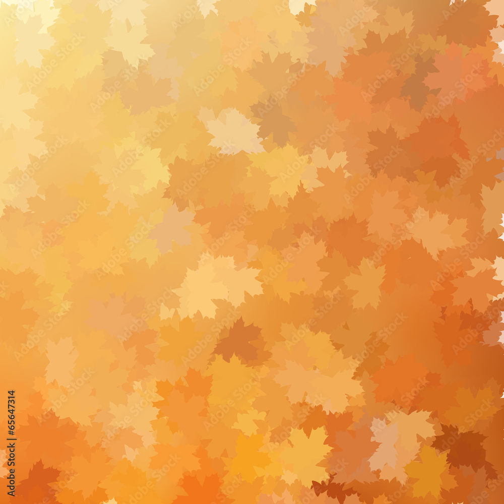 Autumn background template. EPS 10 Autumn background template. EPS 10