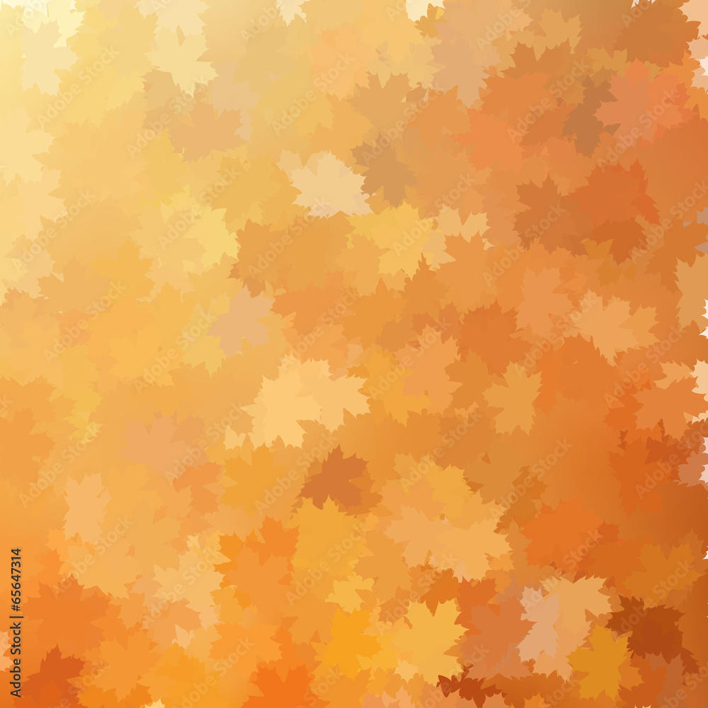 Autumn background template. EPS 10