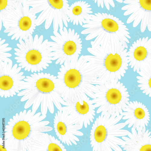 Seamless daisies pattern. EPS 10