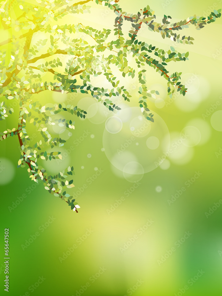 Fototapeta premium Beautiful Nature Bokeh. EPS 10