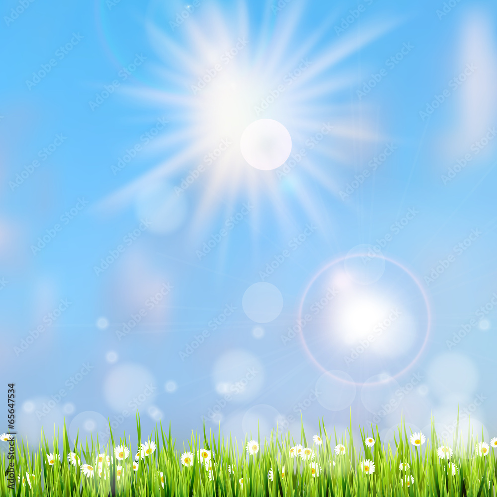 Summer grass in sun light. EPS 10 Summer grass in sun light. EPS 10