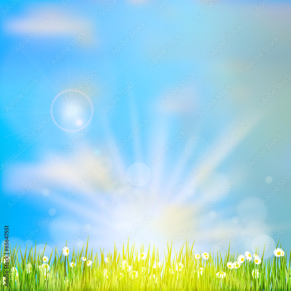 Spring or summer abstract nature. EPS 10 Spring or summer abstract nature. EPS 10