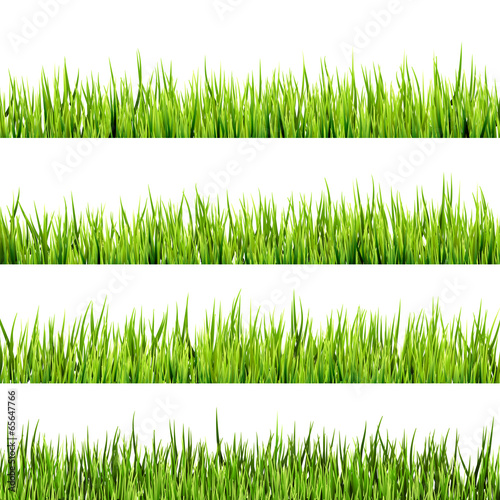 Fresh spring green grass isolated. EPS 10