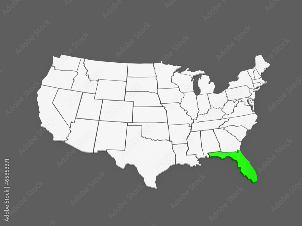 Fototapeta premium Three-dimensional map of Florida. USA.