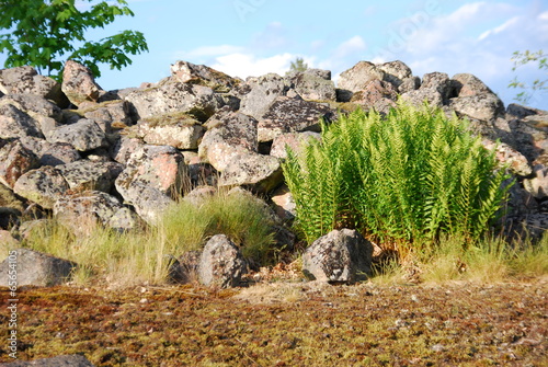 Bohus schwedischer Granit photo