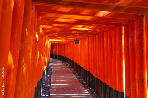 Fushimi Inari Taisha Shrine in Kyoto city