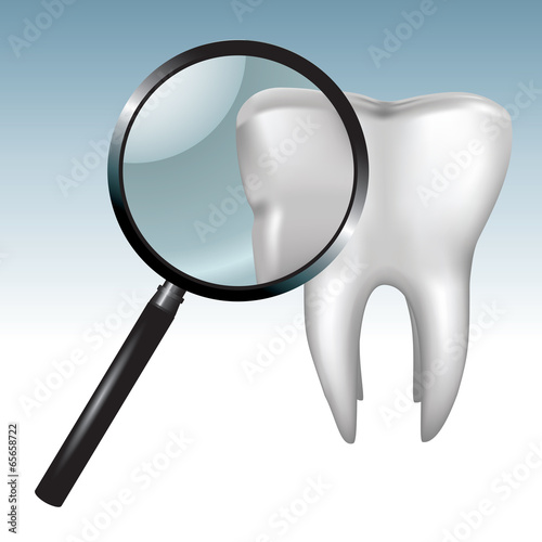 Human tooth