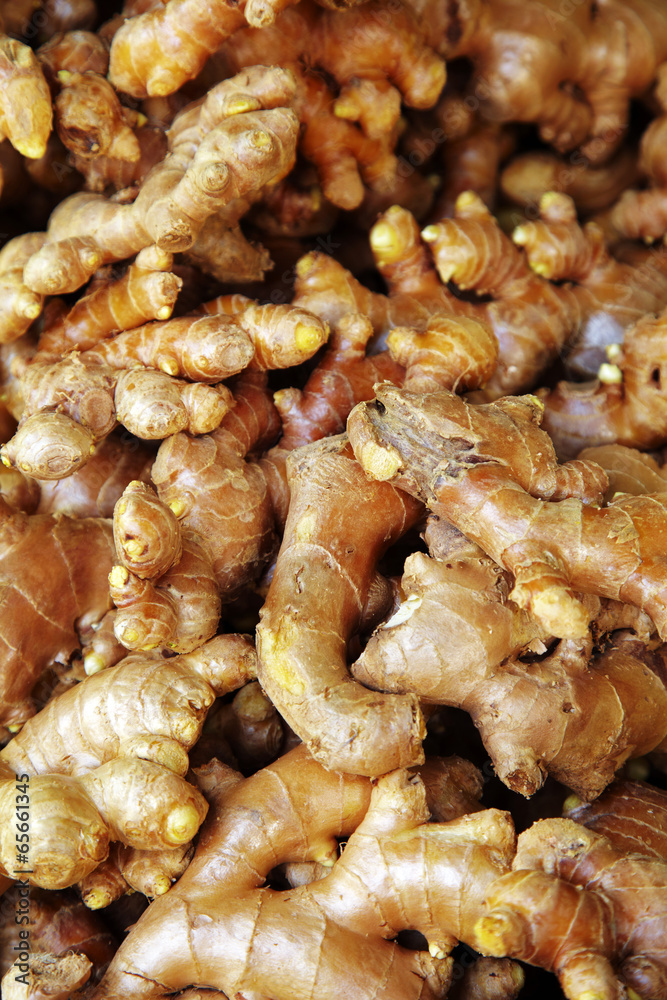 close up many ginger in thailand close up many ginger in thailand