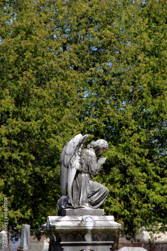 Gorgeous statue of stone angel in cemetery