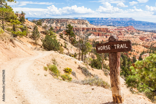 Horse Trail photo