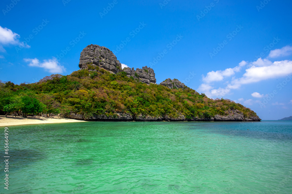 Obraz premium Tropical white sand beach with trees.