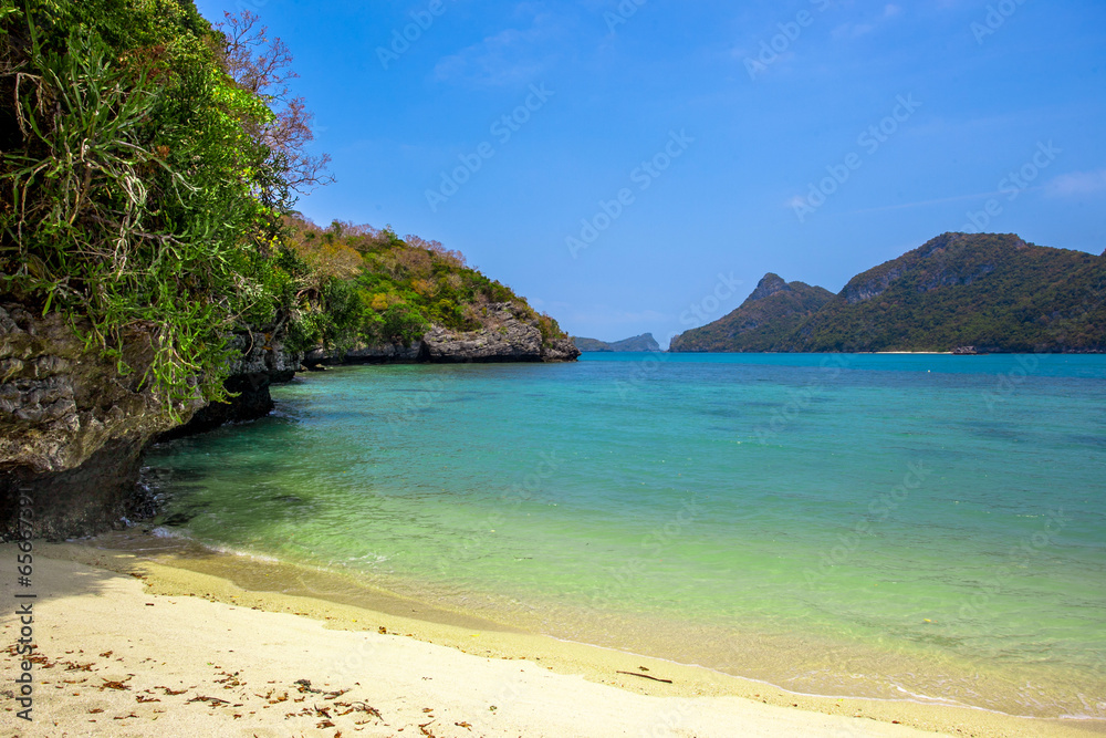 Tropical white sand beach with trees.