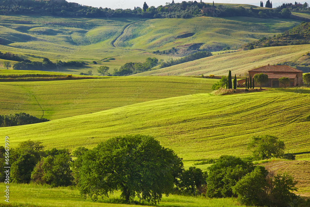 Tuscany Hills and Countryside in SIenna region, Italy