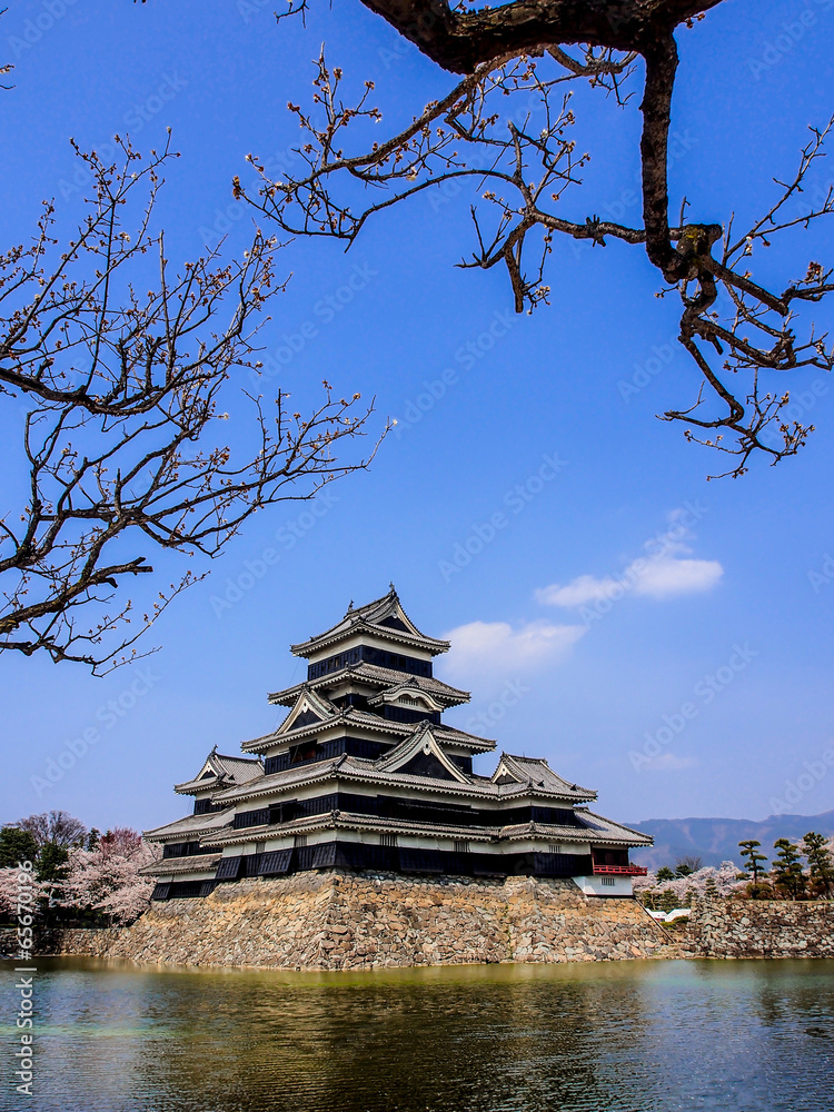 Matsumoto castle with blue sky in spring season Matsumoto castle with blue sky in spring season
