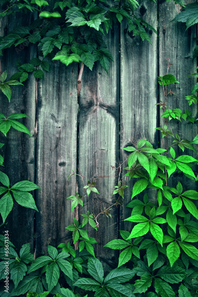 holz hintergrund holz hintergrund