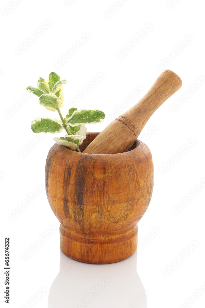 Mortar with fresh mint isolated