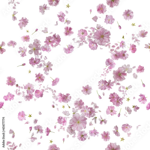 Repeatable Ornamental Sakura Blossom Breeze