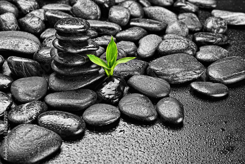 Photography zen stones