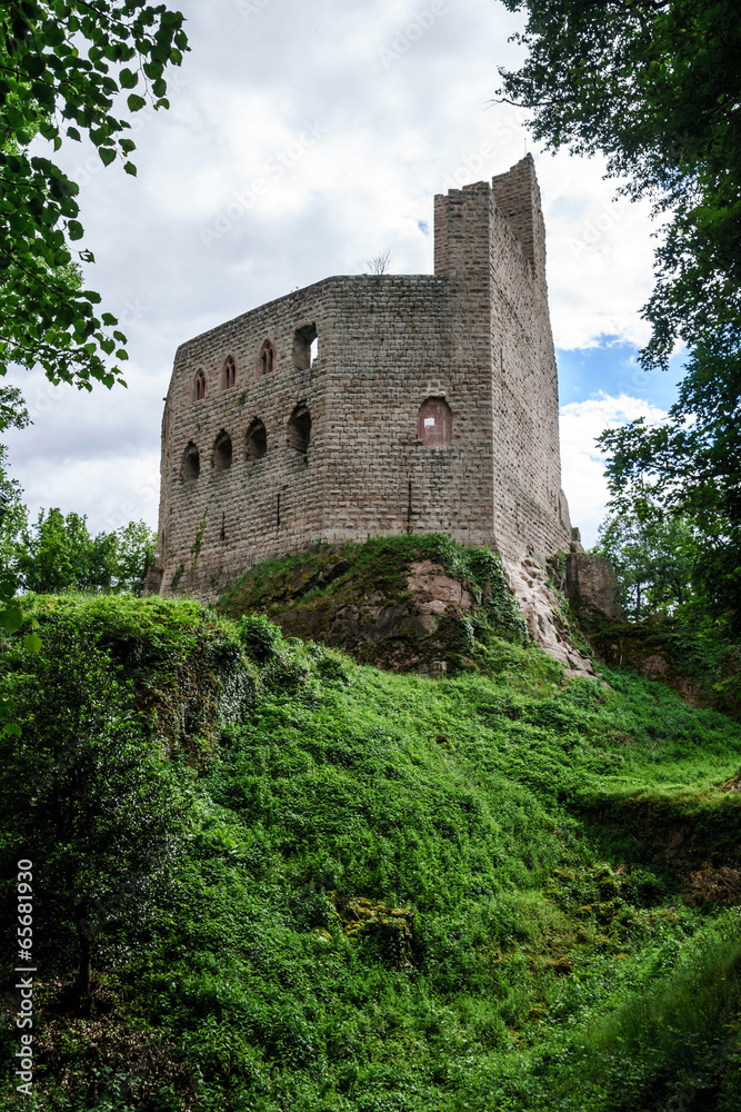 Medieval castle Spesbourg in Alsace