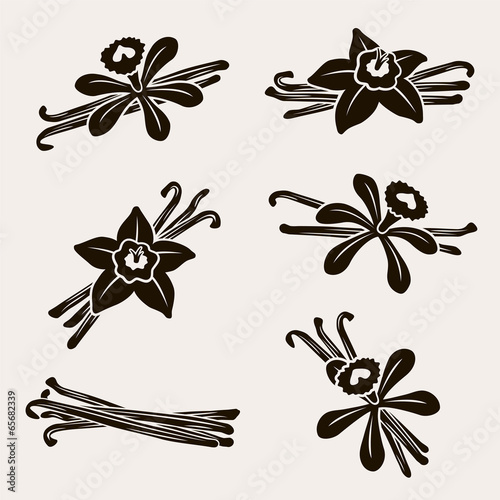 Vanilla set. Vector
