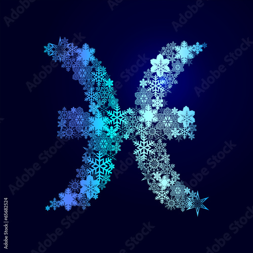 Winter decorations. Symbols of snowflakes. Signs of the zodiac