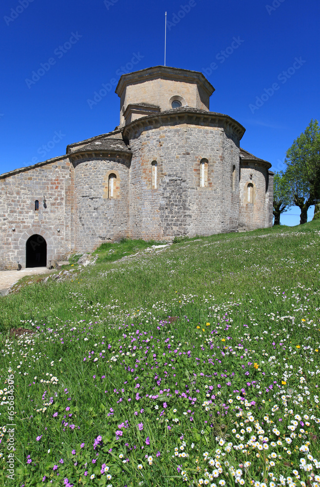 Obraz premium san miguel de aralar primavera navarra 3978-f14