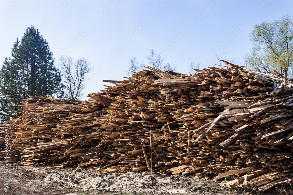 Pile of raw planks of pine wood
