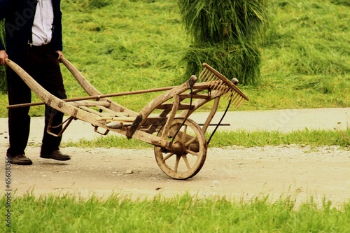 alter mann mit holzschubkarre I photo