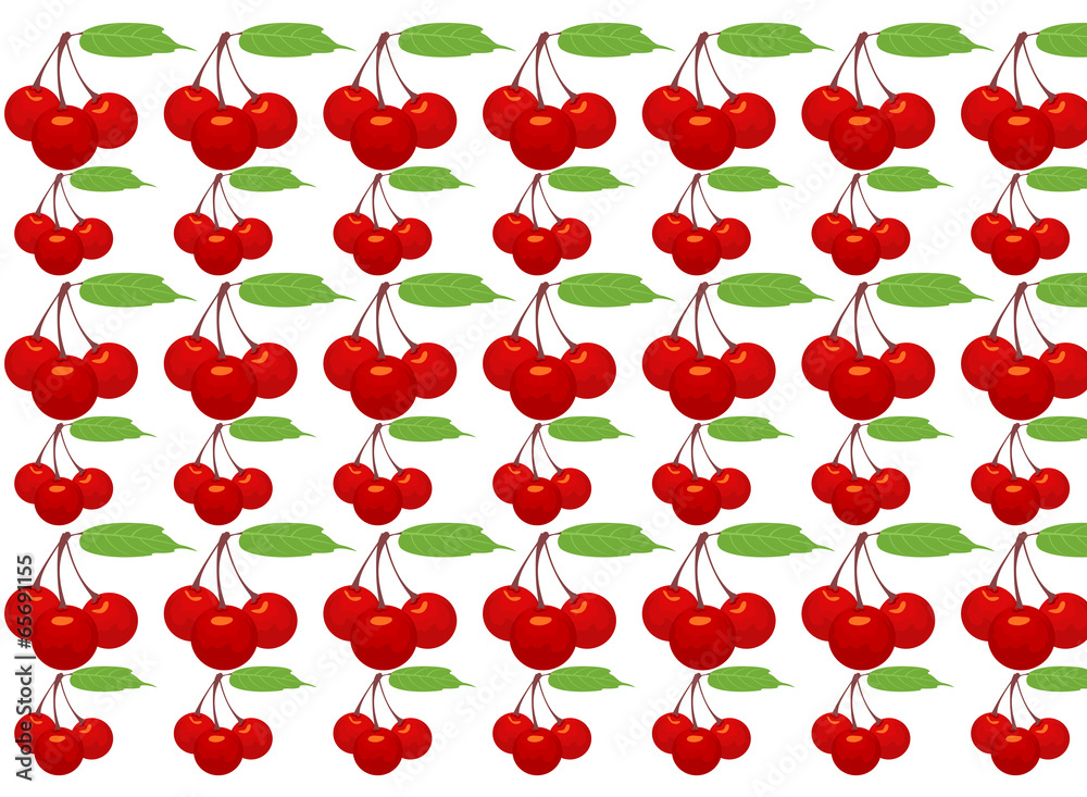 Cherry fruit pattern on a white background