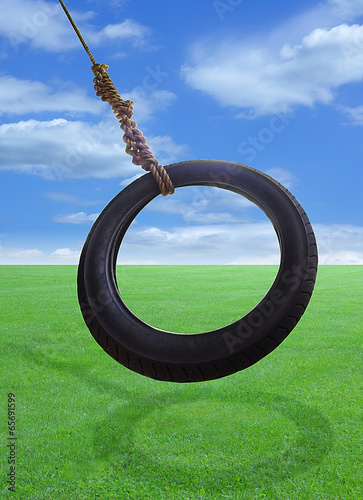 Tire Swing photo