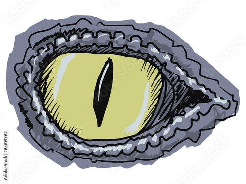 eye of crocodile