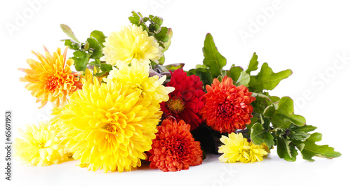 Fototapeta Naklejka Na Ścianę i Meble -  Beautiful flowers isolated on white background