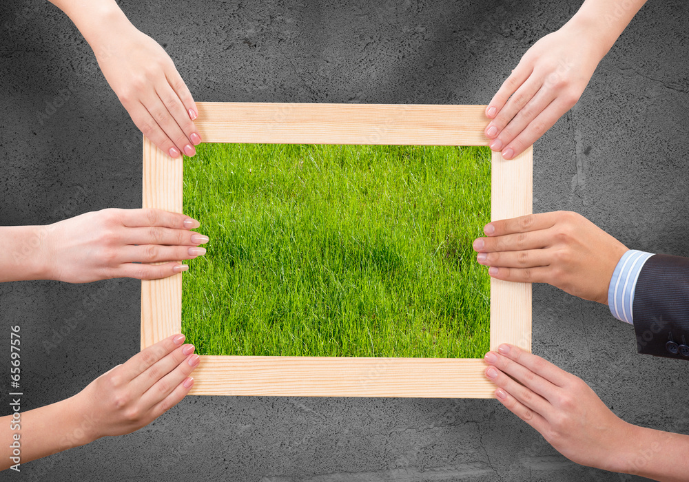 Frame with grass Frame with grass