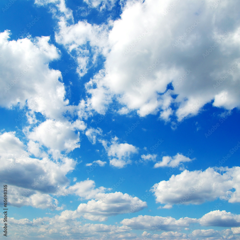 Fototapeta premium nature