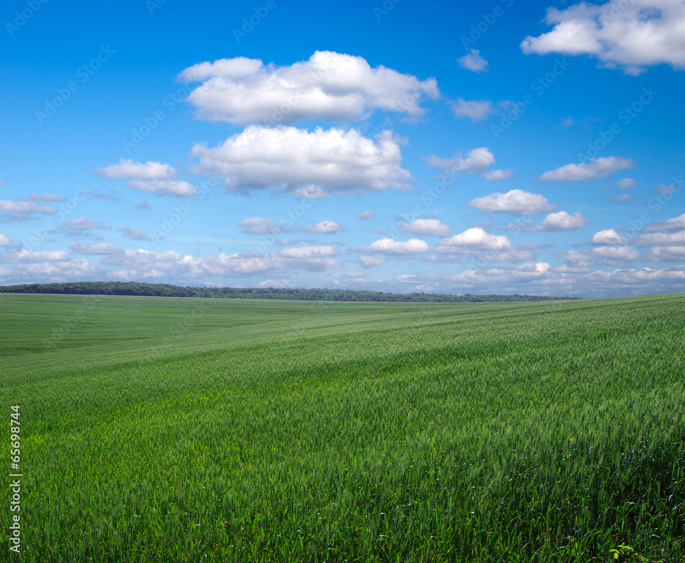 green field