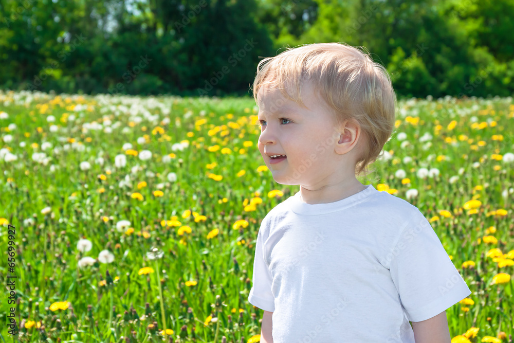small child on a meadow with dandelions small child on a meadow with dandelions