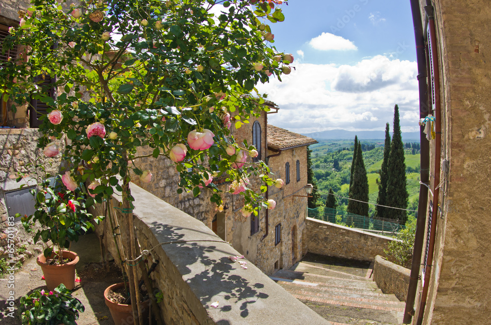 Fototapeta Roses on balcony, cityscape of San Gimignano, Tuscany landscape