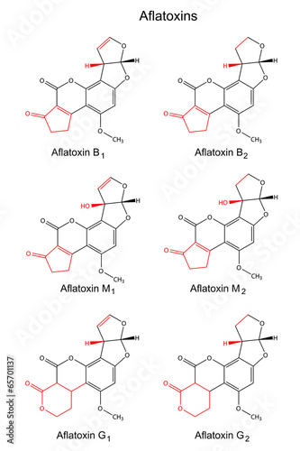 Structural chemical formulas of aflatoxins (B, M, G)