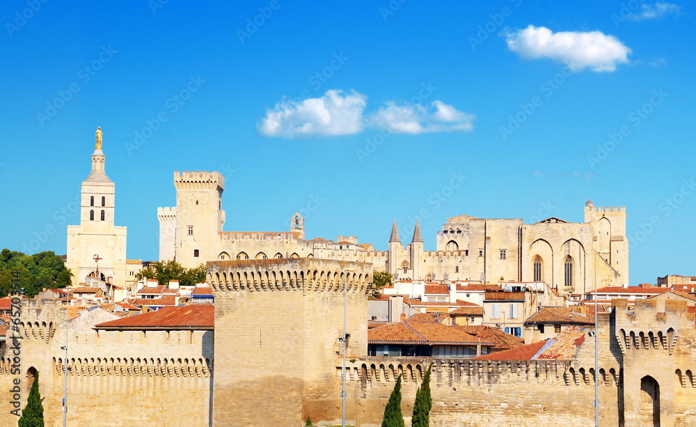 Fototapeta premium Palais des papes et remparts à Avignon