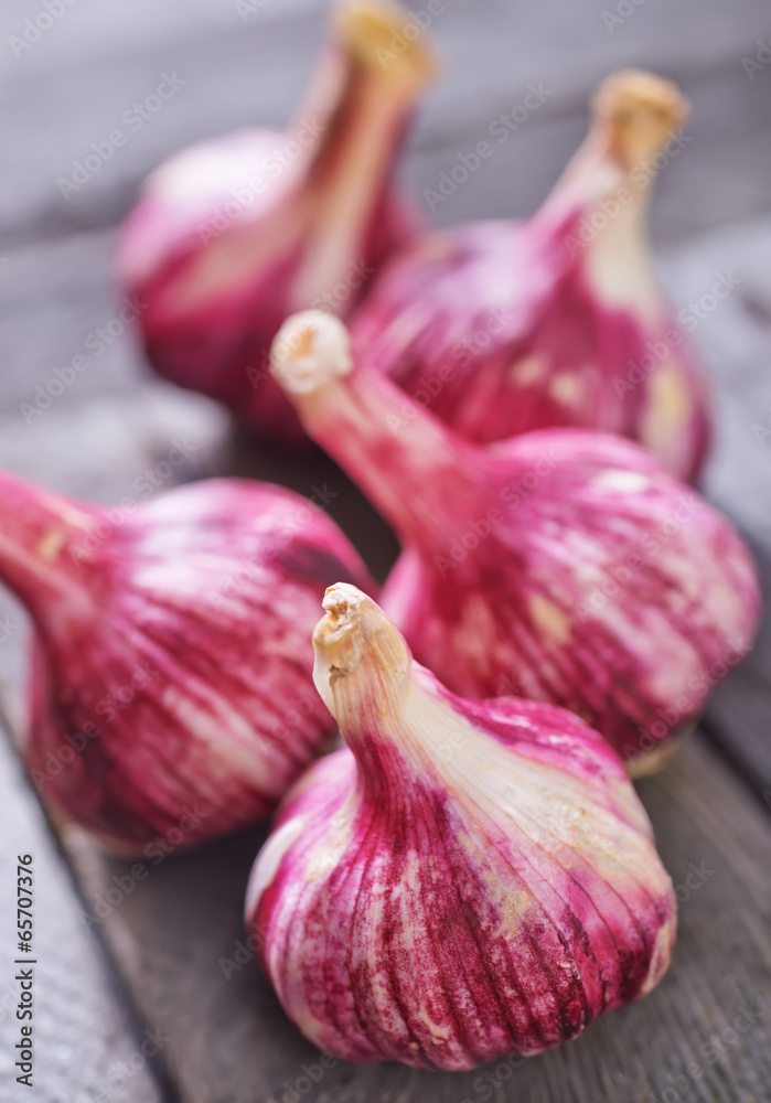 Fototapeta premium garlic