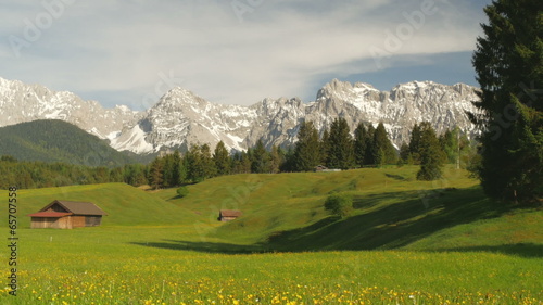 Mountaintop in the alps with trees on the hill in summer
