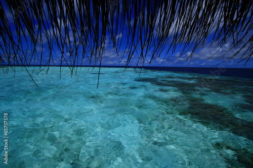 Korallenmeer Malediven photo