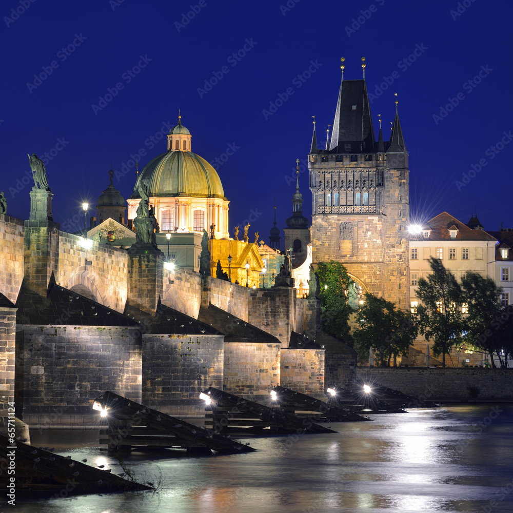 Charles Bridge and Old Town Bridge Tower