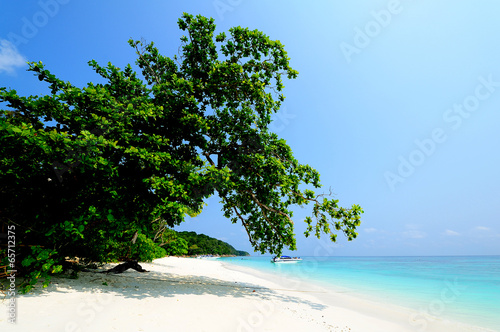 White Sand Beach on the Island © karinkamon