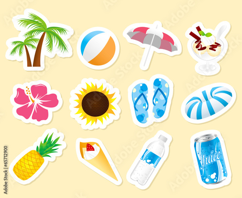 summer icon set Vector