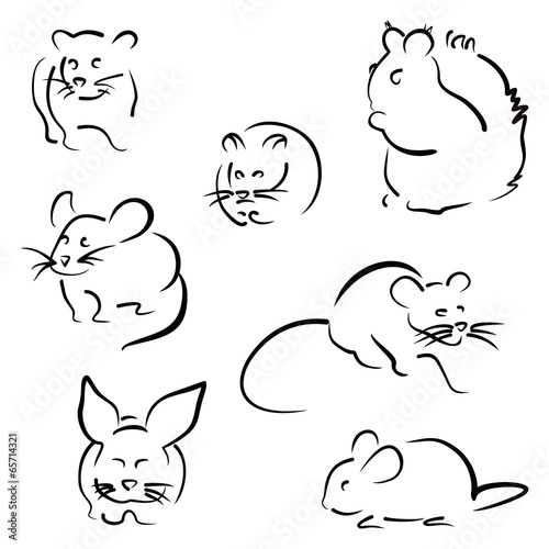 Set of rodents