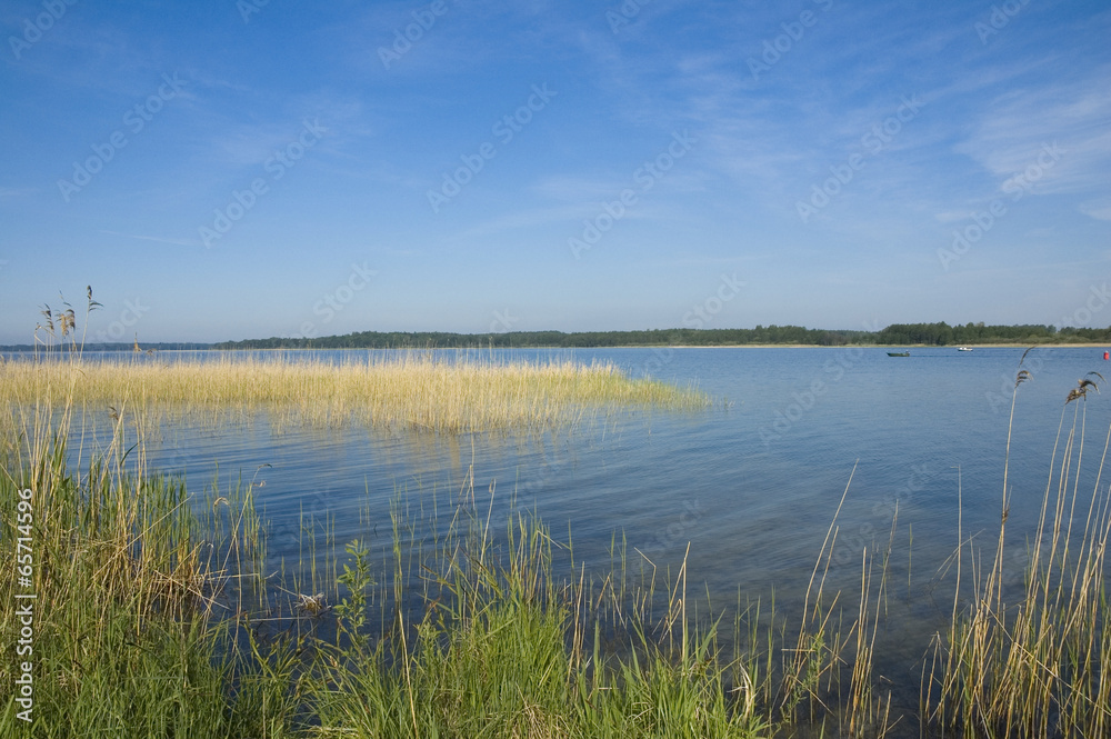 Lake view Lake view