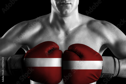 B&W fighter with Latvia color gloves